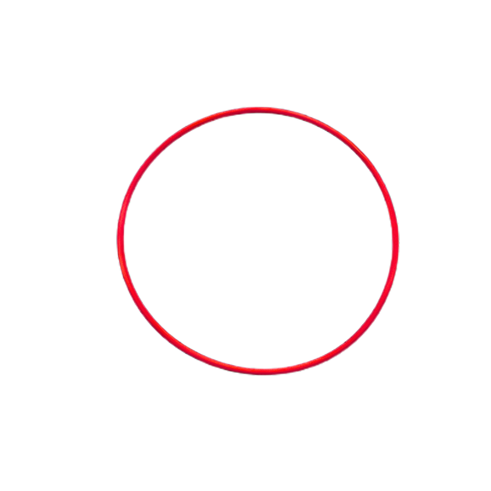 DCT450 MPS6 | Red Powershift Clutch Hub O-Ring