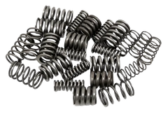 DCT450 MPS6 DCT | Powershift 6 Speed | Clutch Springs