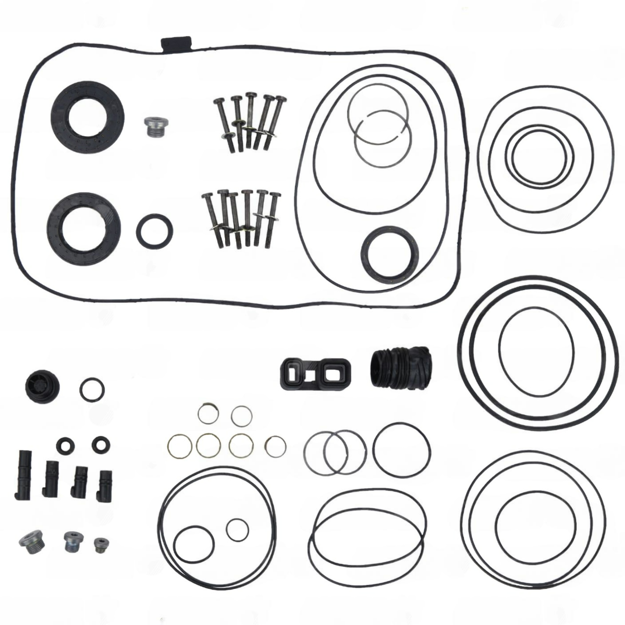 6HP19 6HP19X 6HP21 6HP21X OEM Overhaul Kit BMW Sussex Autos