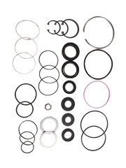 Steering Gear Seal Kit | GM | 19015581 | AS11134 